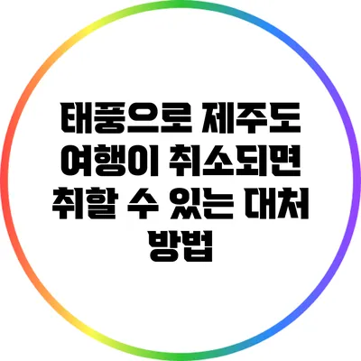 태풍으로 제주도 여행이 취소되면 취할 수 있는 대처 방법
