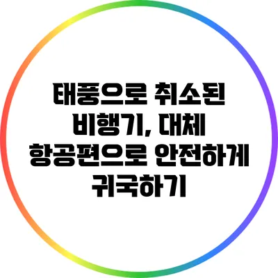 태풍으로 취소된 비행기, 대체 항공편으로 안전하게 귀국하기