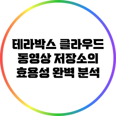 테라박스 클라우드 동영상 저장소의 효용성 완벽 분석