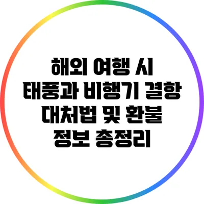 해외 여행 시 태풍과 비행기 결항 대처법 및 환불 정보 총정리