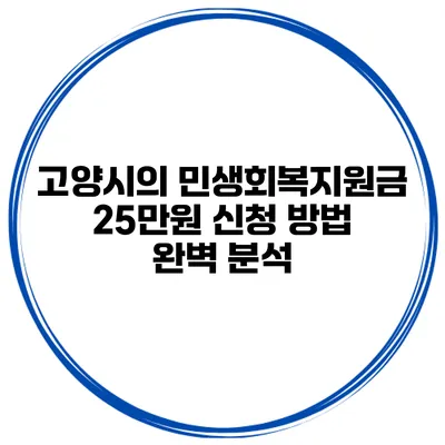 고양시의 민생회복지원금 25만원 신청 방법 완벽 분석