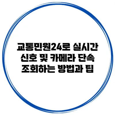 교통민원24로 실시간 신호 및 카메라 단속 조회하는 방법과 팁