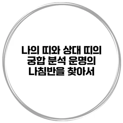 나의 띠와 상대 띠의 궁합 분석: 운명의 나침반을 찾아서