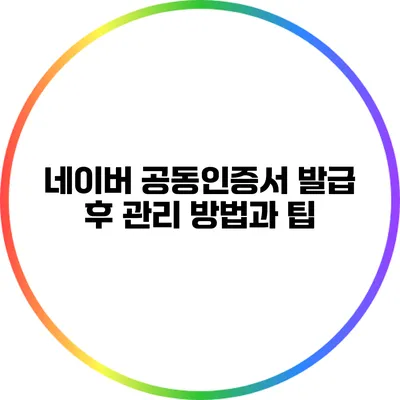 네이버 공동인증서 발급 후 관리 방법과 팁