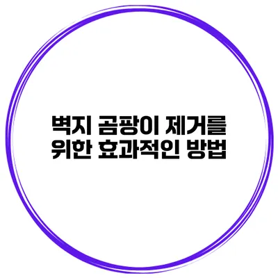 벽지 곰팡이 제거를 위한 효과적인 방법