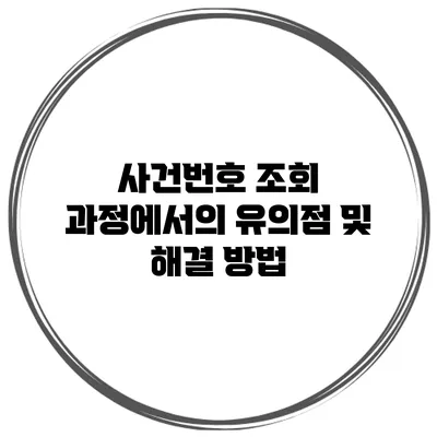 사건번호 조회 과정에서의 유의점 및 해결 방법