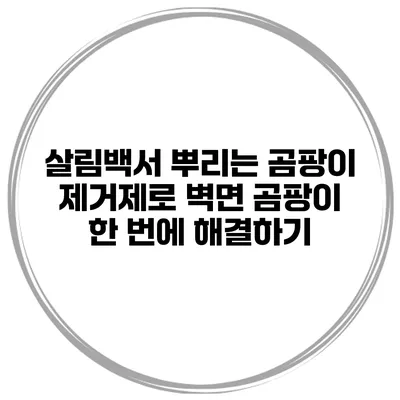살림백서 뿌리는 곰팡이 제거제로 벽면 곰팡이 한 번에 해결하기