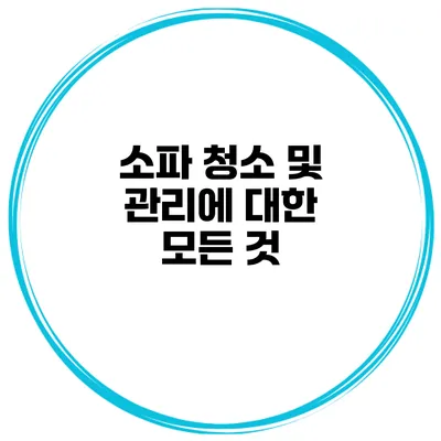 소파 청소 및 관리에 대한 모든 것