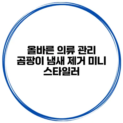 올바른 의류 관리 곰팡이 냄새 제거 미니 스타일러