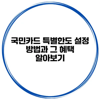 국민카드 특별한도 설정 방법과 그 혜택 알아보기